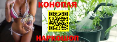ГАЛЛЮЦИНОГЕННЫЕ ГРИБЫ Кулебаки