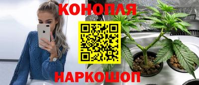 ГАЛЛЮЦИНОГЕННЫЕ ГРИБЫ Кулебаки